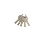 قفل حیاط برقی آلفا (5کلید برنجی) اکو مدل EERL-1 - تصویر 2